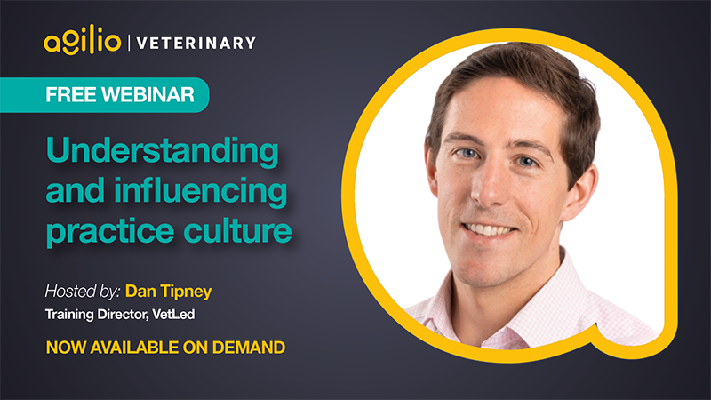 Dan Tipney - Veterinary practice culture webinar