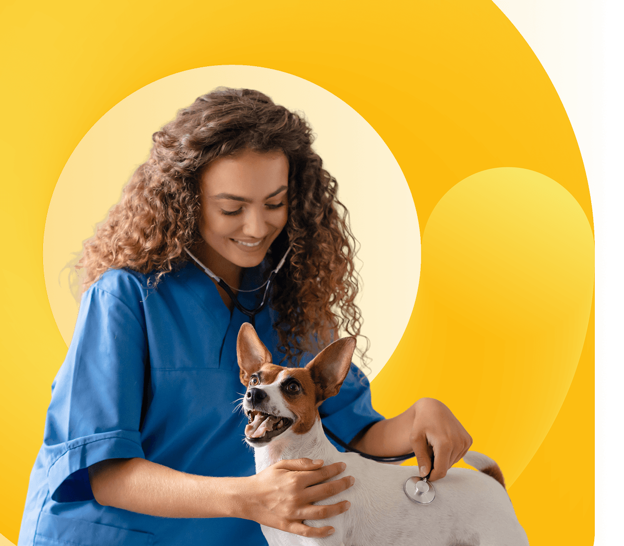 Secion 6 - CTA Image