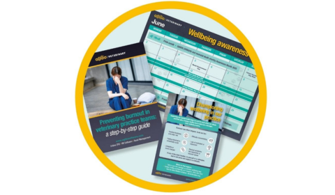 Veterinary burnout resources