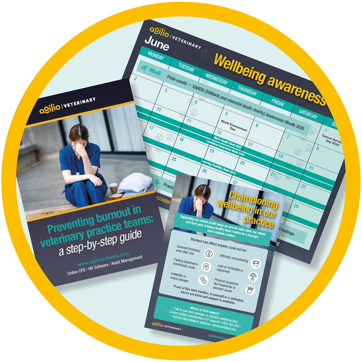 Veterinary burnout resources
