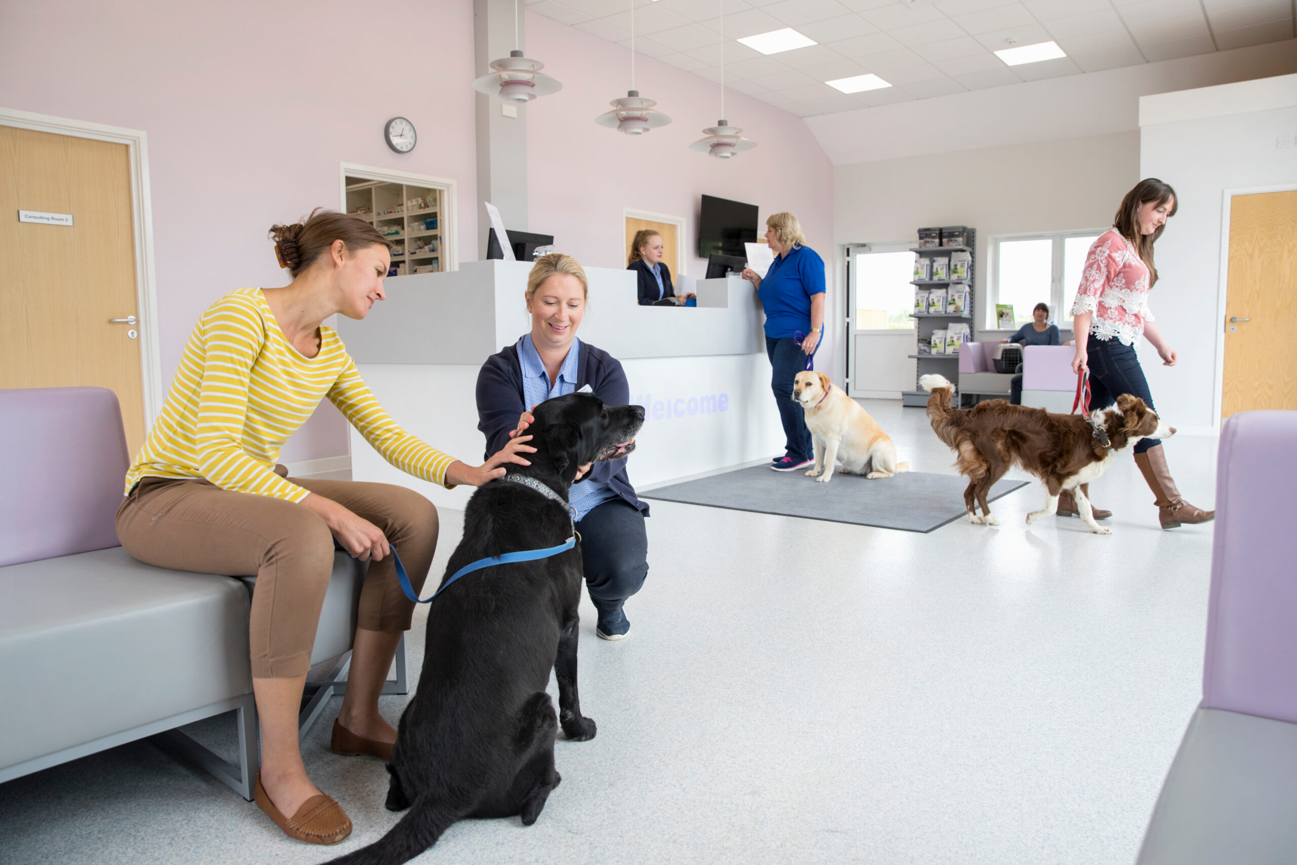 Veterinary practice reception