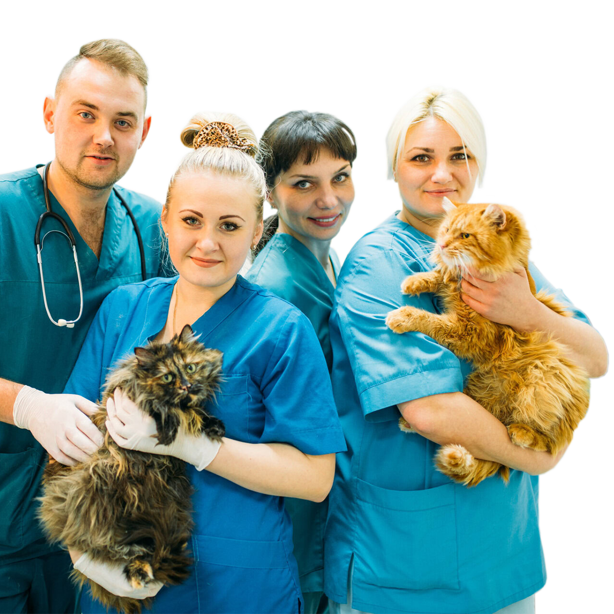 A happy veterinary practice team